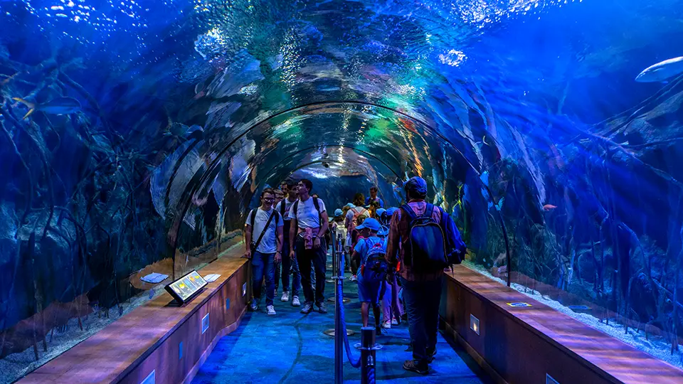 Valencia underwater tunnel, the longest in the world