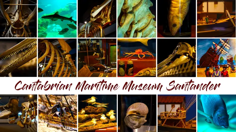 Santander Museum Journey through the Cantabrian Sea