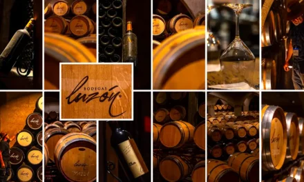 Bodegas Luzon winery in the Spanish wine region of Jumilla Murcia