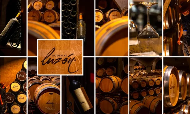 Bodegas Luzon winery in the Spanish wine region of Jumilla Murcia