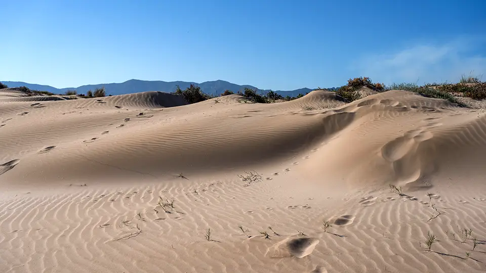 Dunes in Cullera