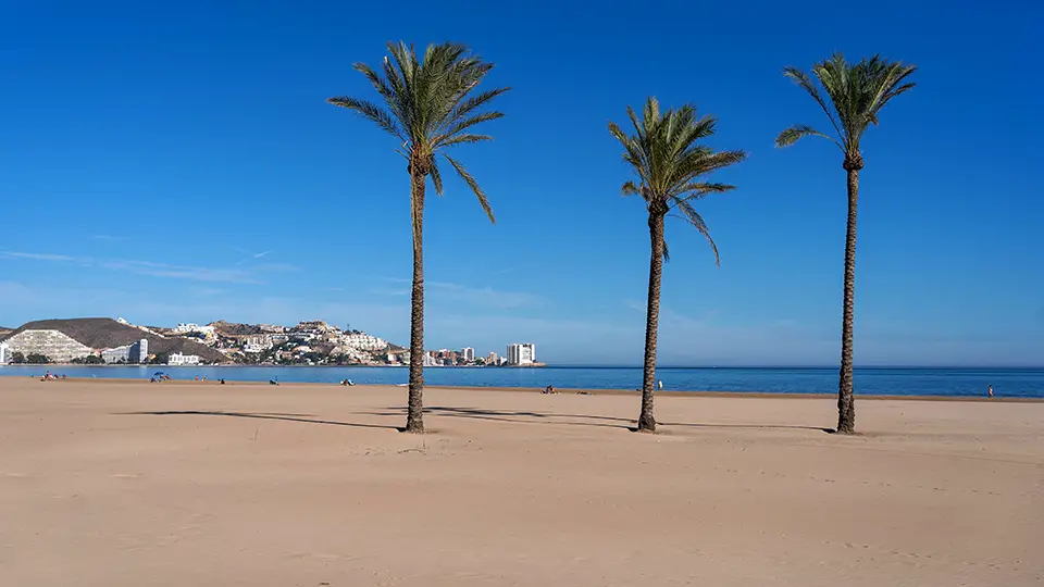 Beach and palms in Cullera