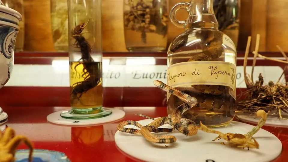 folk medicine