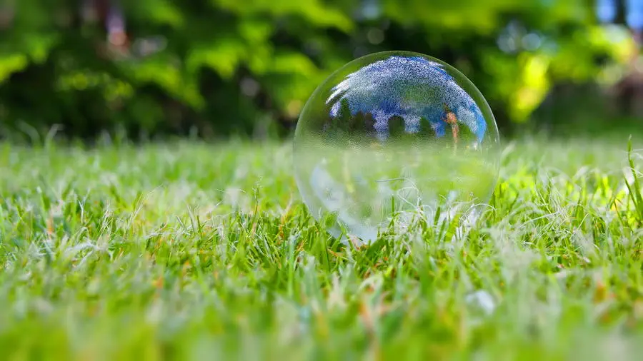 Soap bubbles in the garden.