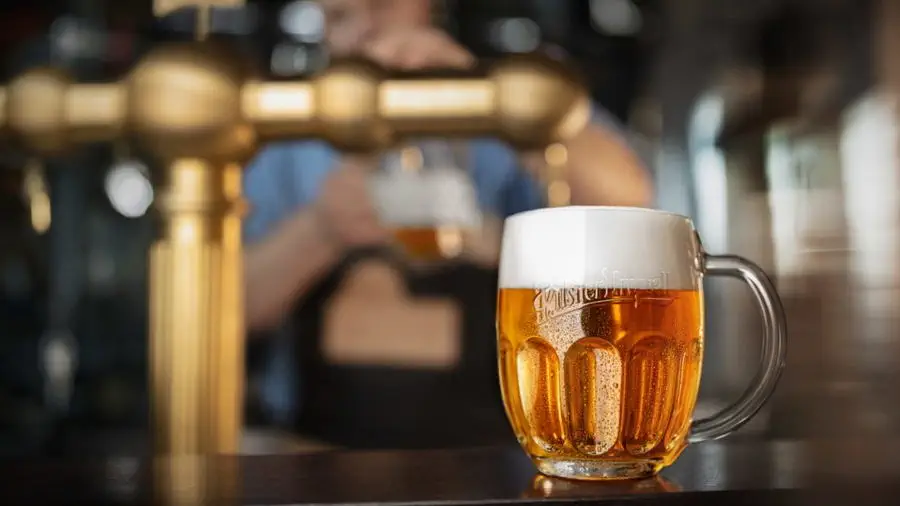 Brewery Museum in Pilsen and beer tasting at the museum
