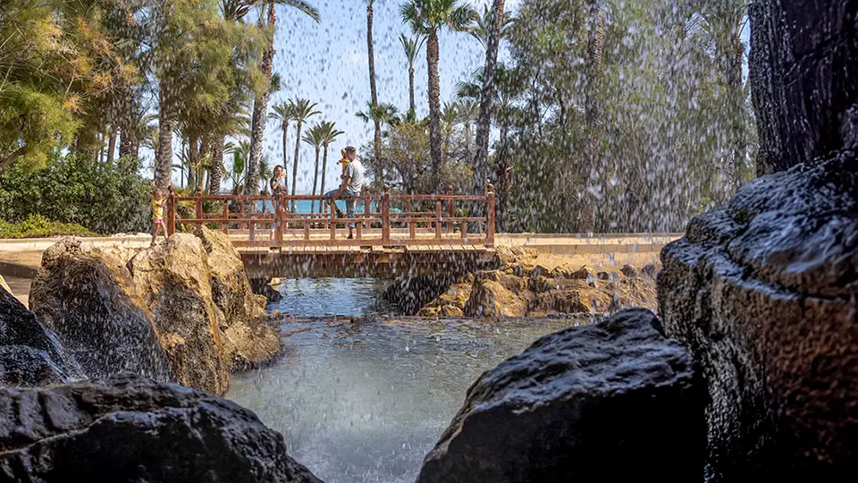 El Palmeral Park in Alicante sightseeing and attractions