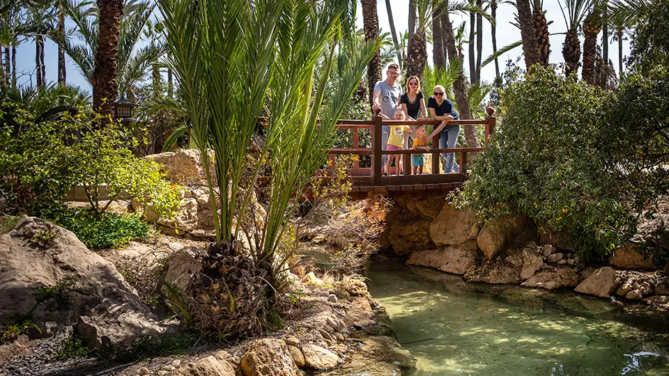 El Palmeral Park in Alicante sightseeing and attractions