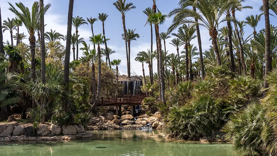 El Palmeral Park in Alicante
