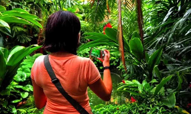 Jim Thompson House is an interesting museum in Bangkok
