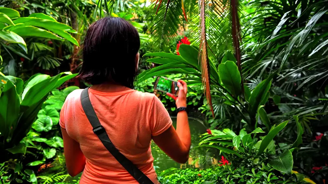 Jim Thompson House is an interesting museum in Bangkok