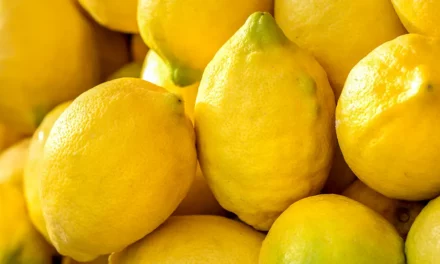 Interesting facts about lemons, properties, and uses of lemons