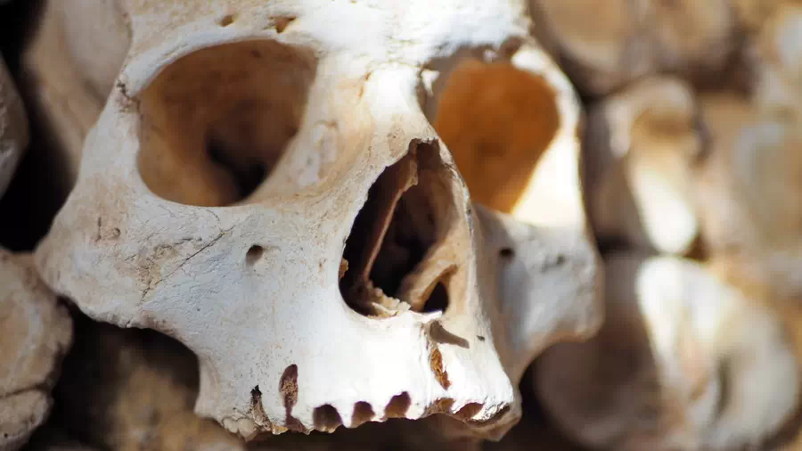 Chapel of Bones in Faro