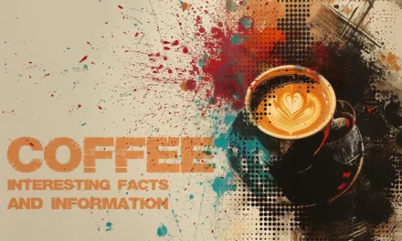Interesting facts about coffee, its history and effects