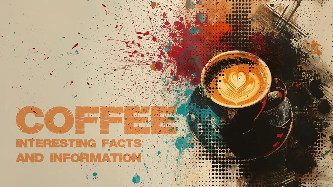 Interesting facts about coffee, its history and effects
