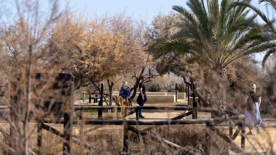 Natural Park de El Fondo near La Mata and Torrevieja