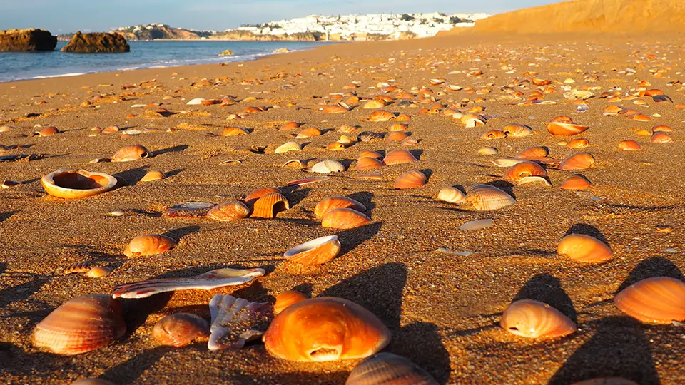 Algarve, a beach on the coast in Portugal near Faro