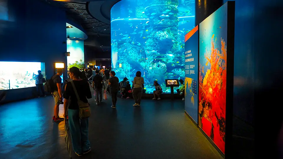 Singapore Aquarium inside the oceanarium