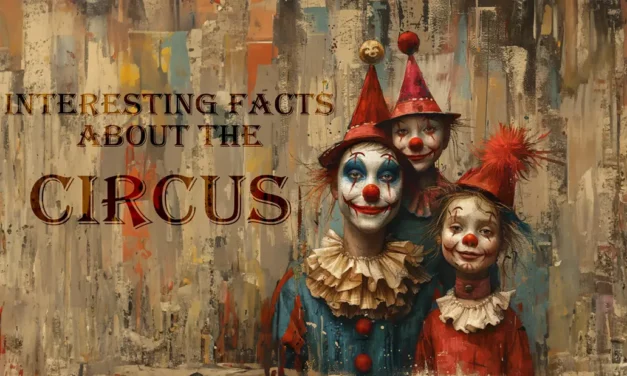 Interesting facts about the circus its history and information