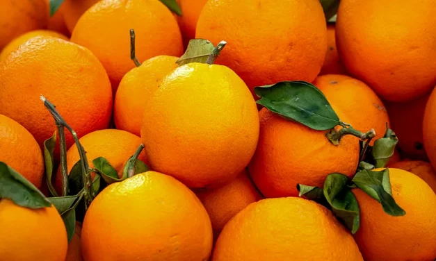 Interesting facts about oranges, their properties, and uses