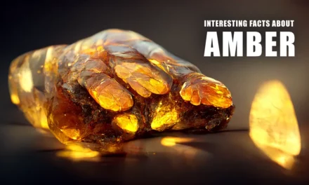 Interesting facts about amber and its history