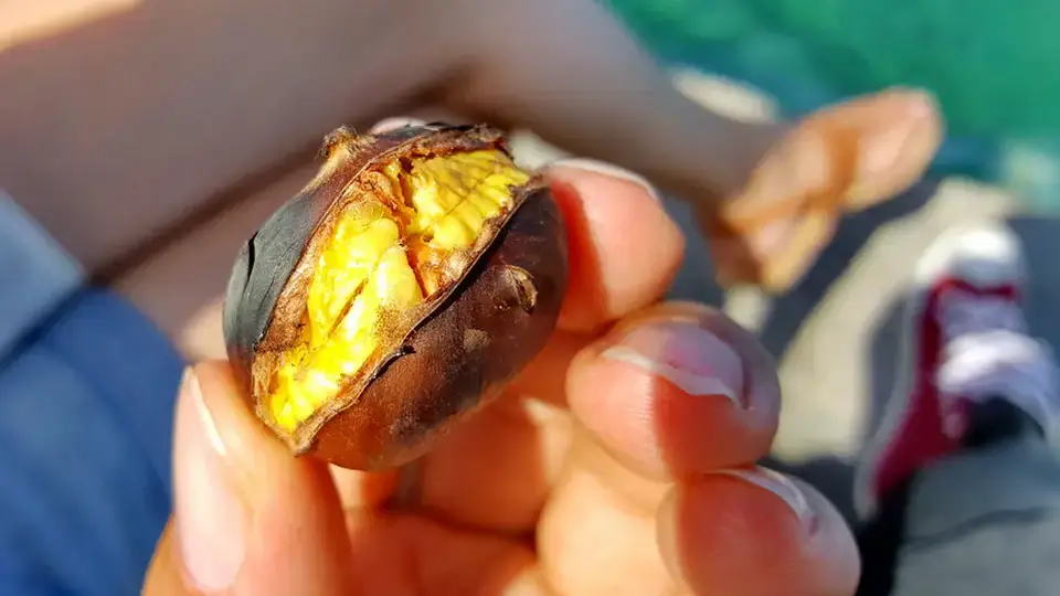Roasted chestnuts on a Greek island