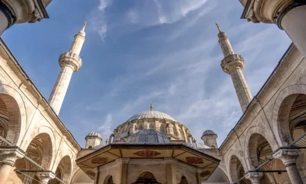 Blue Mosque in Istanbul sightseeing and curiosities