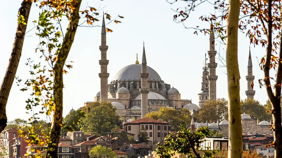 Blue Mosque in Istanbul from the park