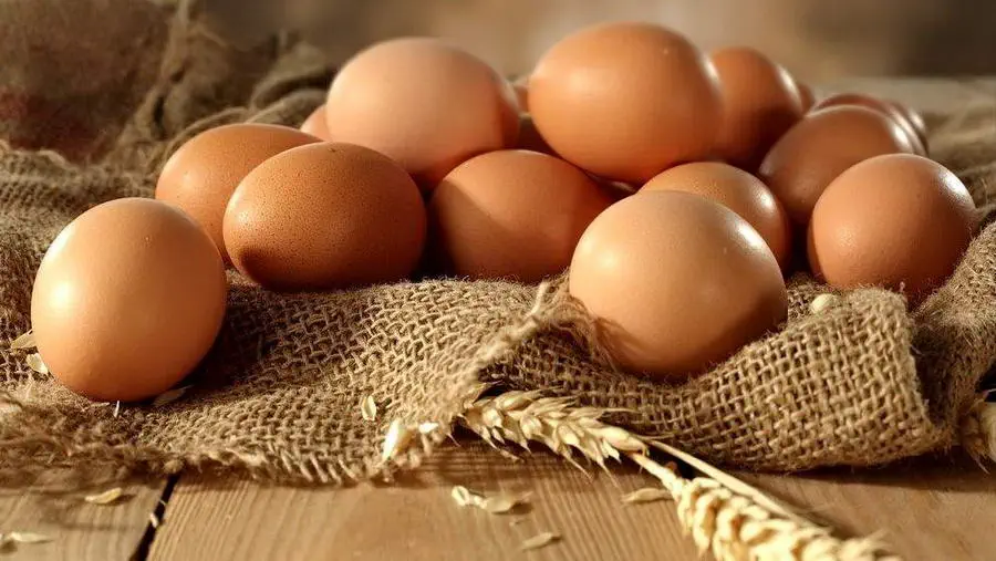 Eggs on the table