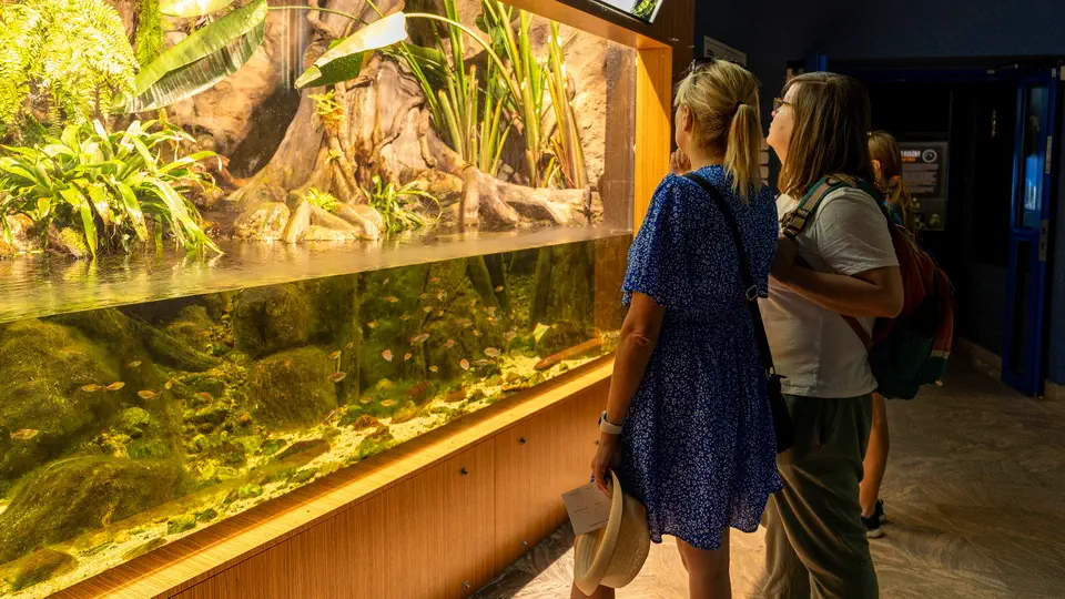 Aquarium and oceanarium in Gdynia, Poland