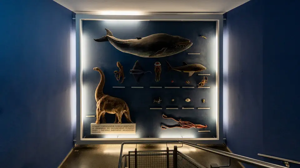 Aquarium and oceanarium in Gdynia, Poland