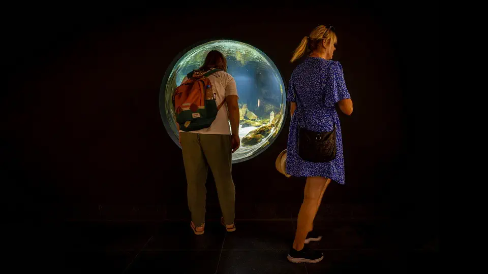Aquarium and oceanarium in Gdynia, Poland