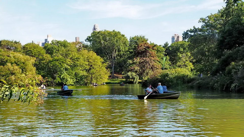 Central Park in New York