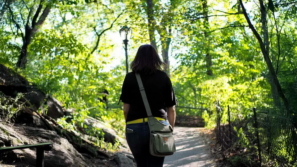 Central Park in New York