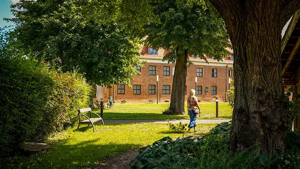 Park in Elblag