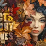 Interesting facts about leaves and a lot of information