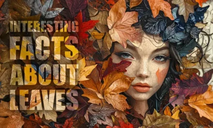 Interesting facts about leaves and a lot of information