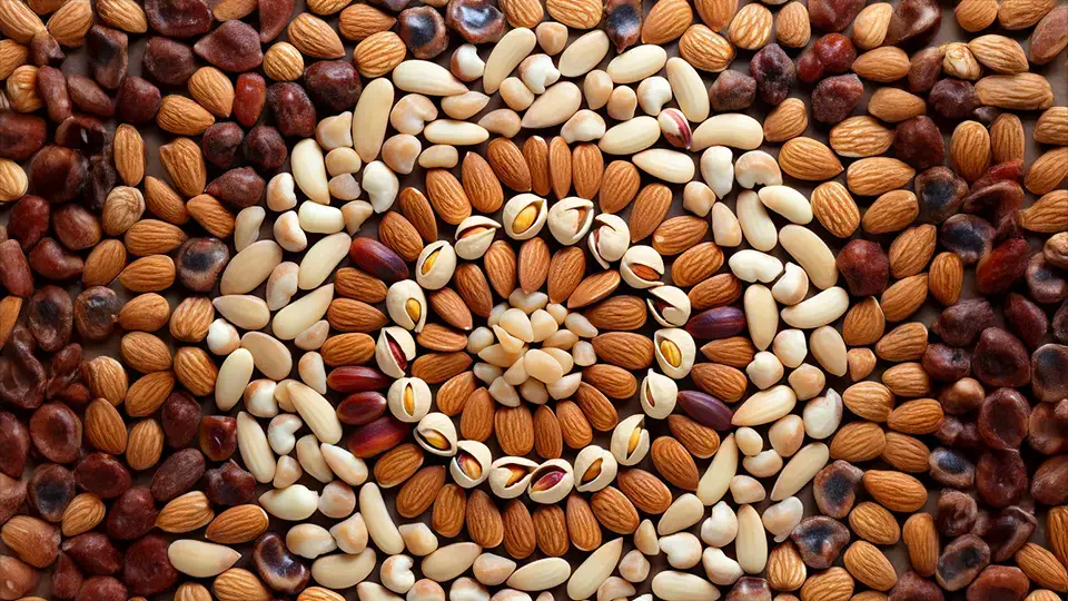 Interesting facts about nuts AI.