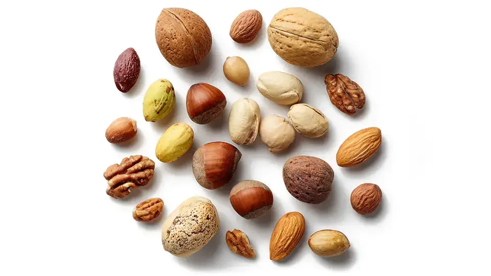 Interesting facts about nuts AI.