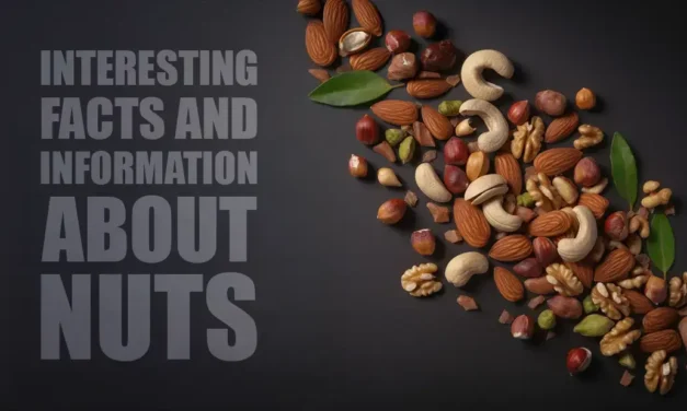 Interesting facts about nuts that you may not know