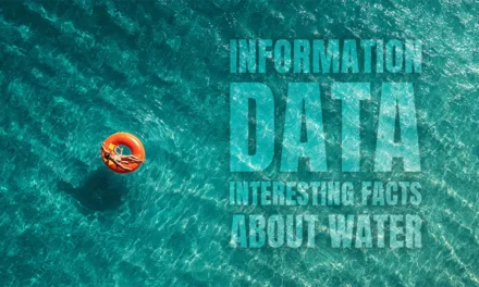 Interesting facts about water, without which we could not exist