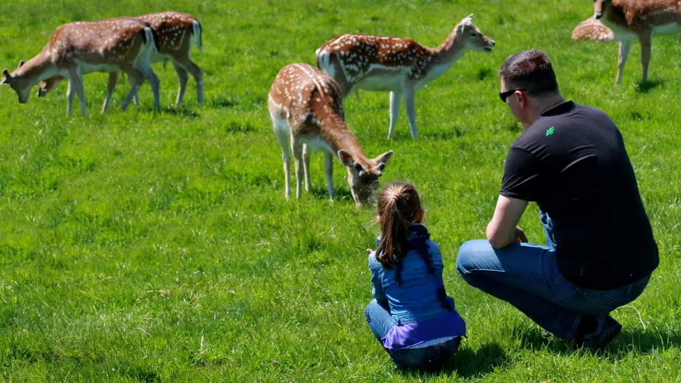 Dyrham Prak National Trust England.