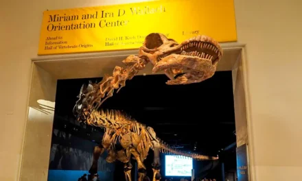 American Museum of Natural History in New York City