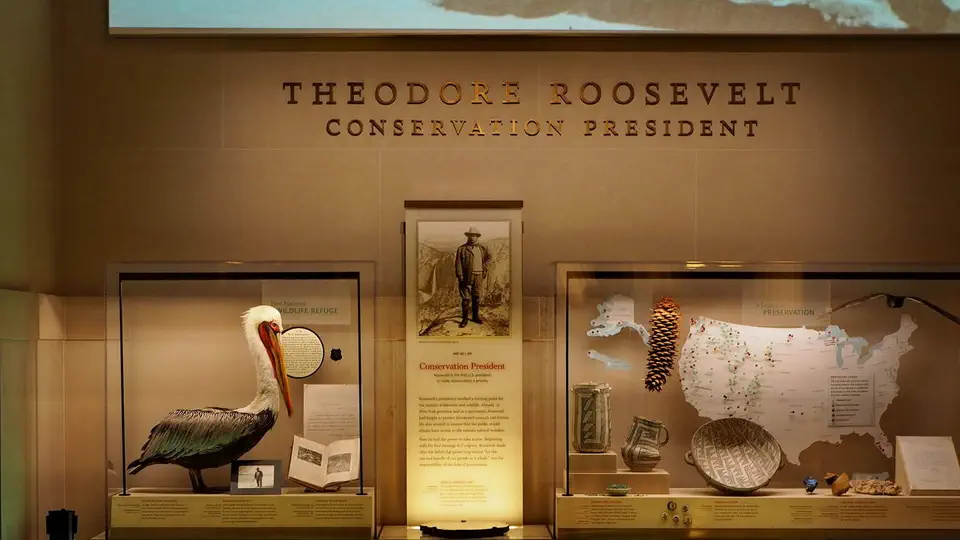 American Museum of Natural History in New York.