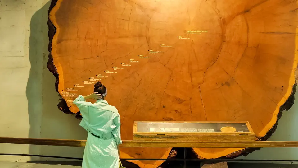 American Museum of Natural History in New York.