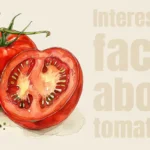 Interesting Facts About Tomatoes