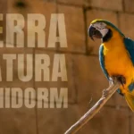 Terra Natura Benidorm – A beautiful zoo on the Costa Blanca