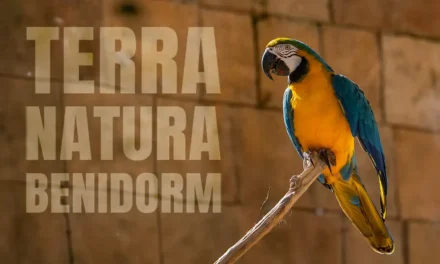 Terra Natura Benidorm – A beautiful zoo on the Costa Blanca