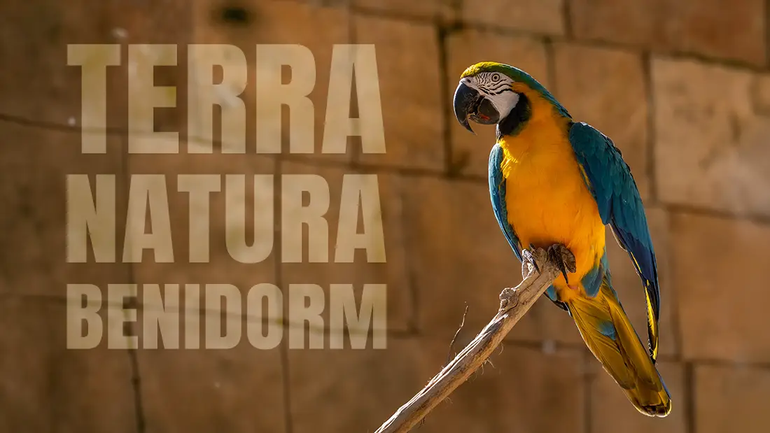 Terra Natura Benidorm – A beautiful zoo on the Costa Blanca