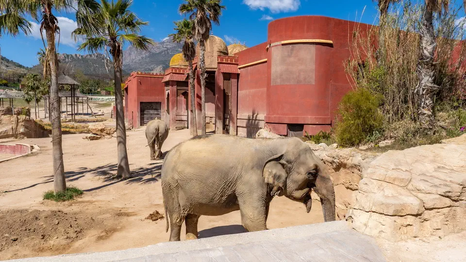 Terra Natura Benidorm, zoo in Benidorm.