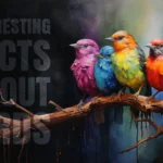 Interesting facts about birds that inhabit the earth
